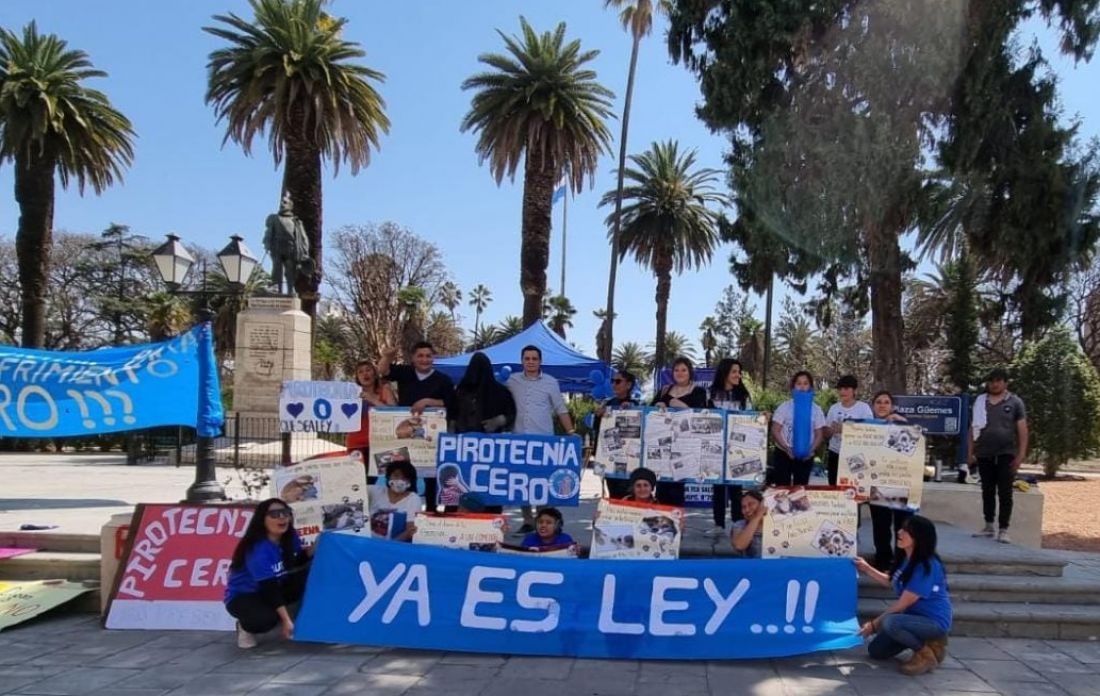 98562-se-aprobo-la-ley-de-pirotecnia-cero-en-salta-20220908165054
